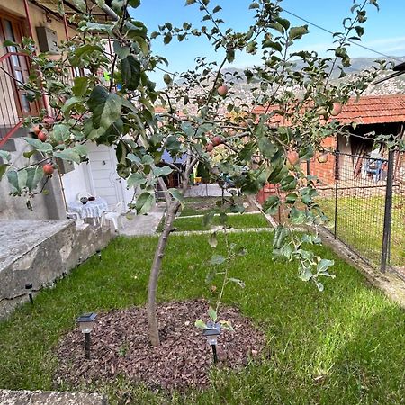 The Heart Of Sarajevo Apartment ภายนอก รูปภาพ